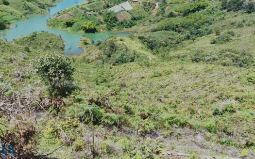 El Peñol Santa Ana 25-Acre Lakefront Lot with Lake Access – MLS 257330